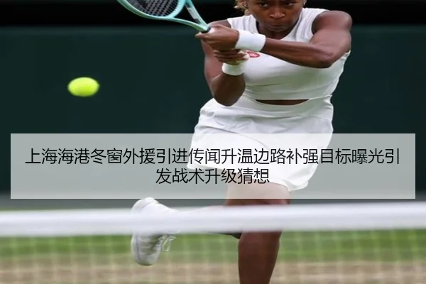 上海海港冬窗外援引进传闻升温边路补强目标曝光引发战术升级猜想